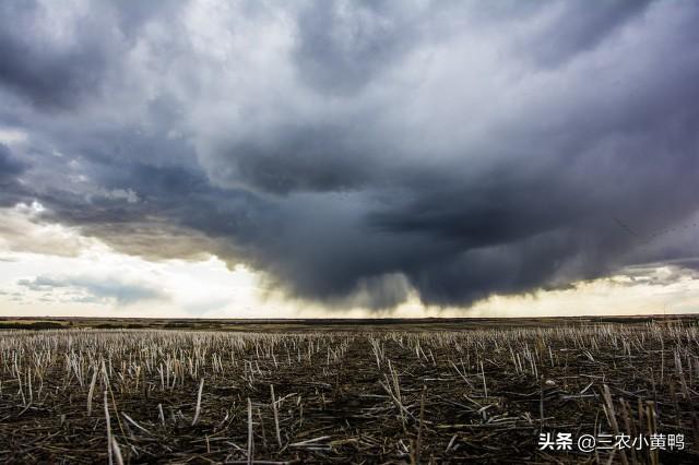 天气预报：今日立春，电闪雷鸣天气，有啥说法？看看老祖宗怎么说