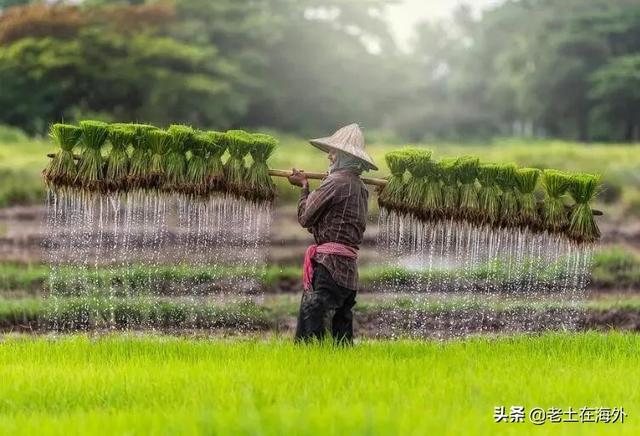 cambodia是哪个国家