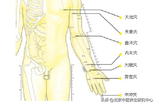心包經上的這 3 個特效穴位