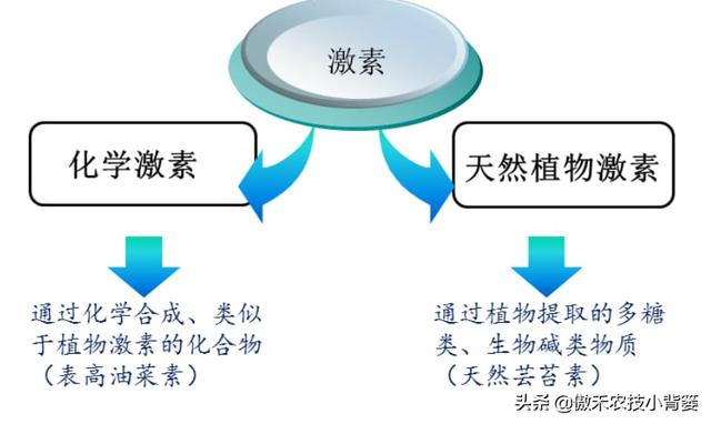 如何正确认识、正确挑选与正确使用芸苔素内酯？注意这几点3