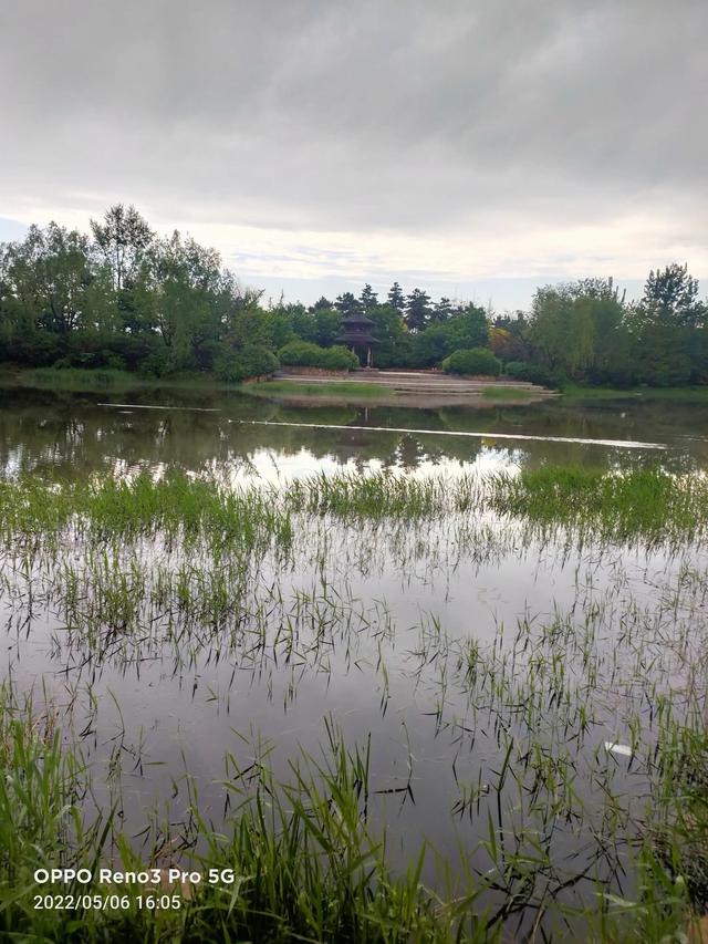雨后戴河公园