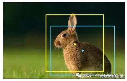 稀疏&集成的卷积神经网络学习