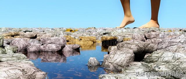 从经络循行谈养生求本