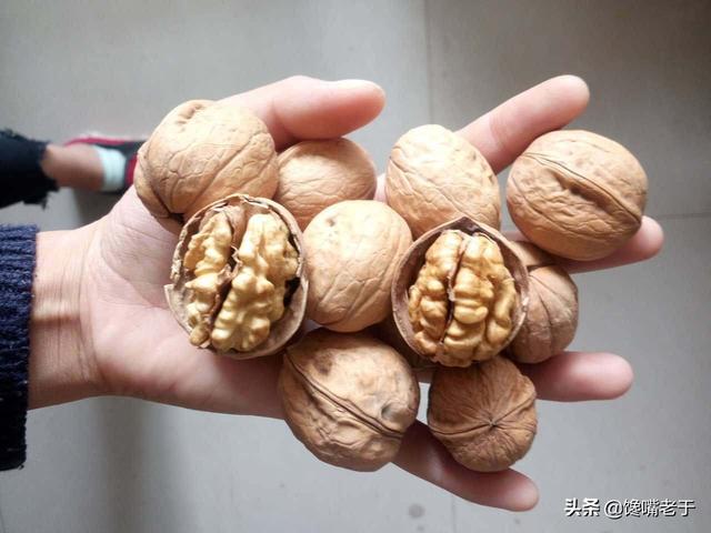 人到中老年：若条件允许，建议常吃这5种食物，比吃保健品强多了