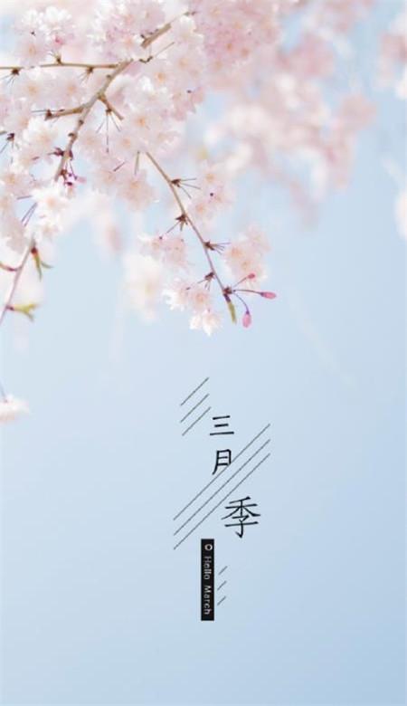 散文：懂得春天，遇见三月的温柔