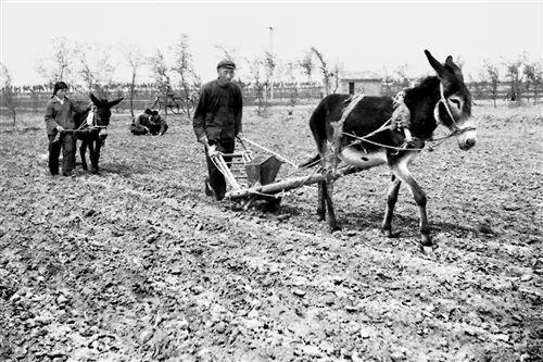 三一重工梁稳根：农村出身到身价700亿，带领中国重工走向世界