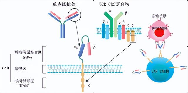 120万一针抗癌药，宁波首位患者治疗成功！一个月肿瘤消失，值吗
