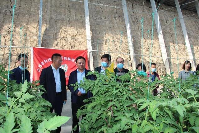 寿光市科技局：助力乡村振兴，科技力量在行动