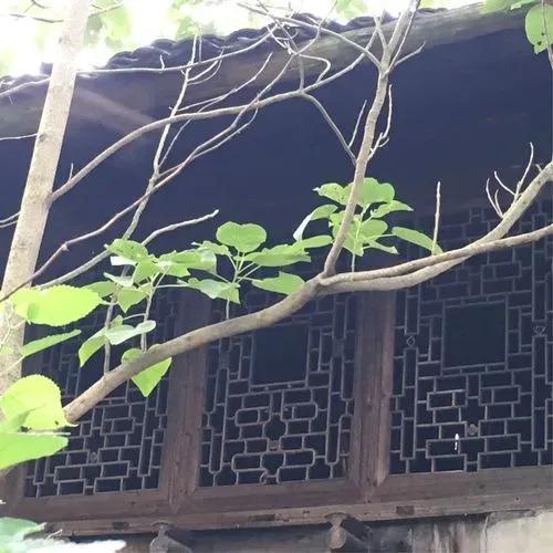 刘飞芳诗歌