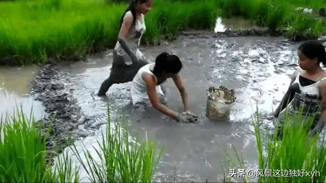 老家，我魂牵梦绕的好地方