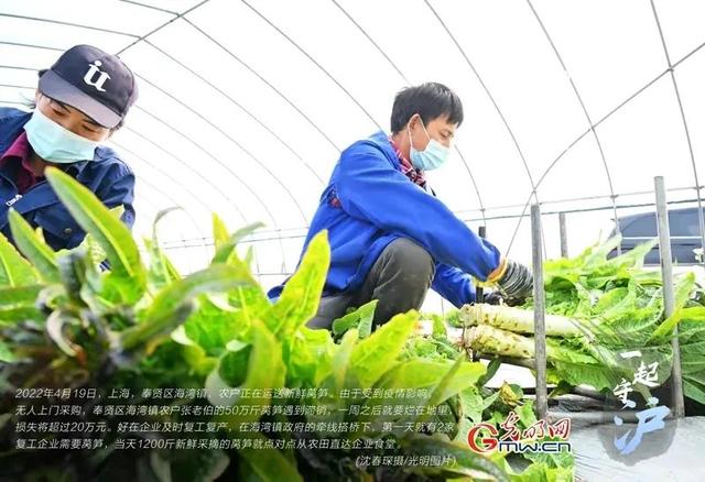 菜被扔了，多少人心寒了…