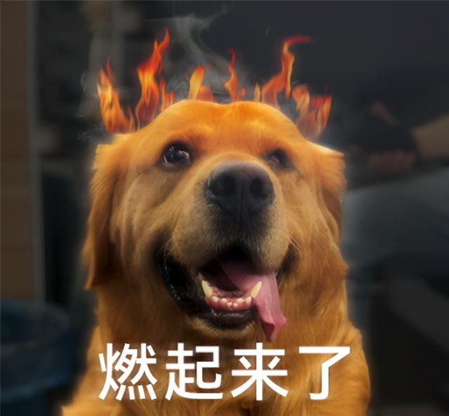 俄罗斯自己拔网线了，启用本国互联网，咋回事？