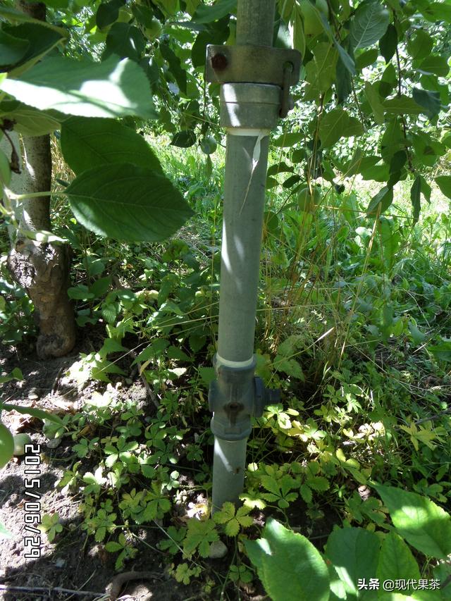 2018年意大利农业机械展