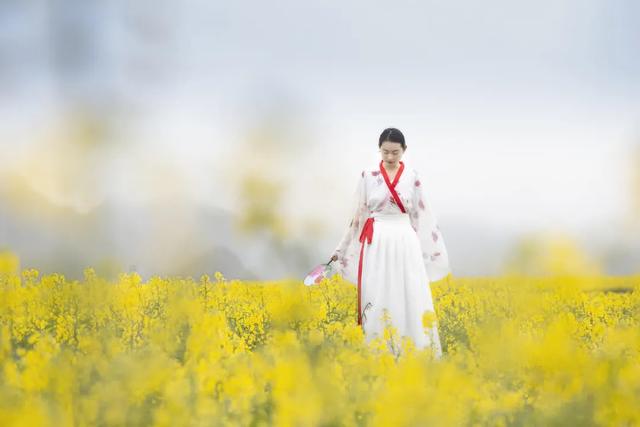 百色单螺旋洗砂分级机报价