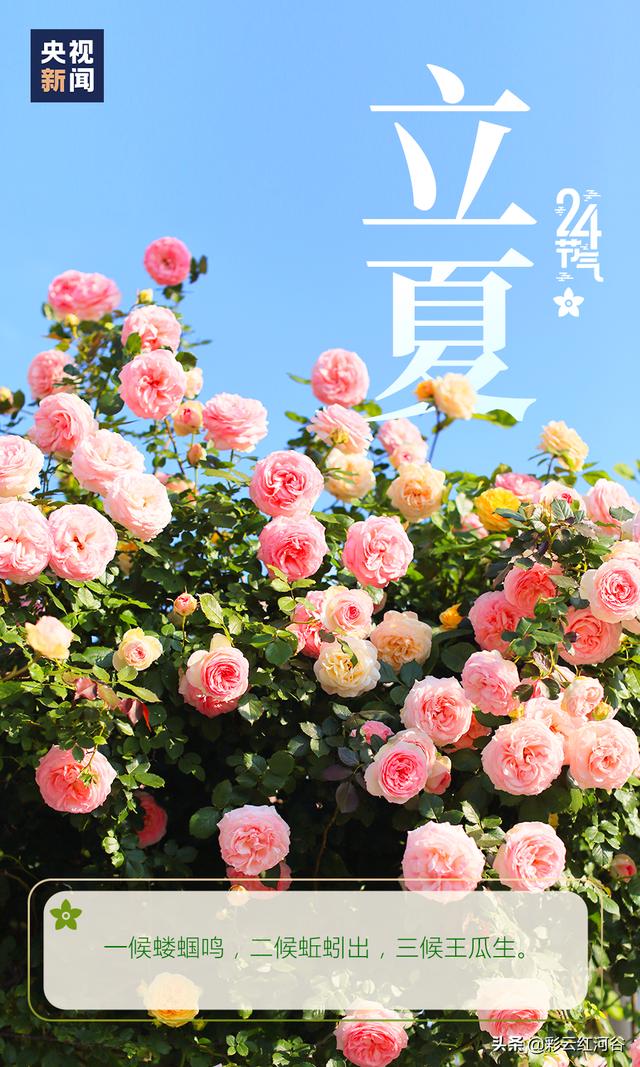 你好，夏天