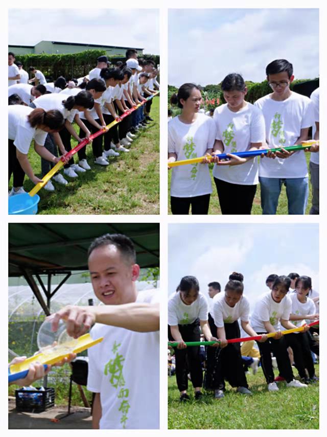 深圳哪里适合团建