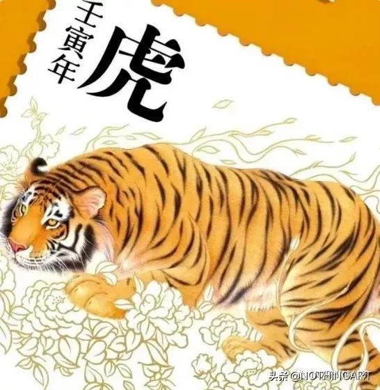 022年是什么虎年金木水火土水墨先生(2022虎百年难遇是什么意思)"