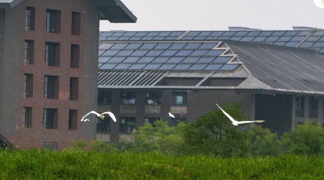 高顔值！陝西這所高校位于特大城市，占地4300畝！網友：風景絕美