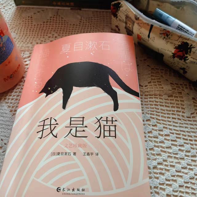 猫眼看世界 新闻时间