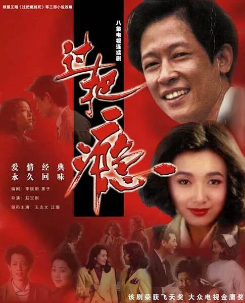 江珊王志文主演的电视剧有哪些(江珊和王志文主演的电视剧有哪些)-天