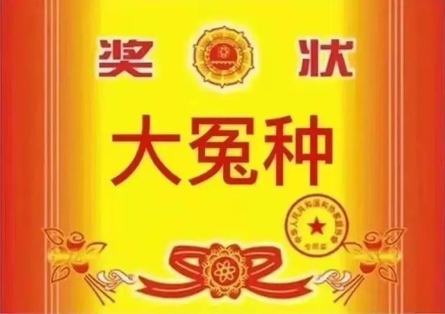 被运营商忽悠办了5G套餐后，我觉得自己很蠢