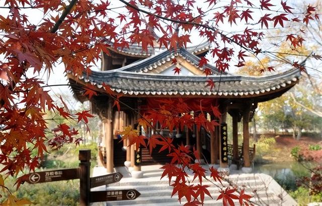 1997年，浙江千年古庙挖出梁山伯墓葬，墓志铭清晰可见