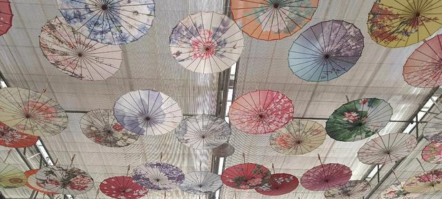 漂亮的花伞