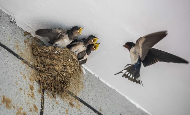 头皮发麻鸡皮疙瘩