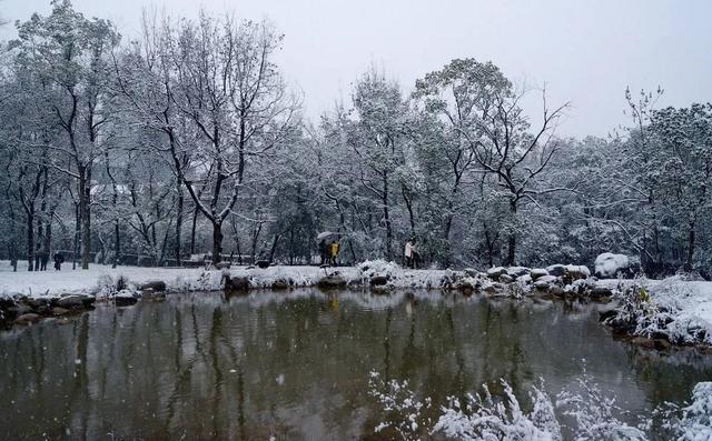 原创现代诗／雪花，飘落在惊蛰之后