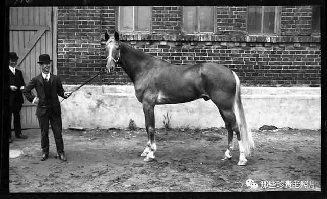 老照片：1909年繁华的莫斯科