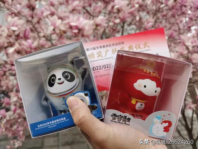 我的青春我做主，一个不正常的自我介绍
