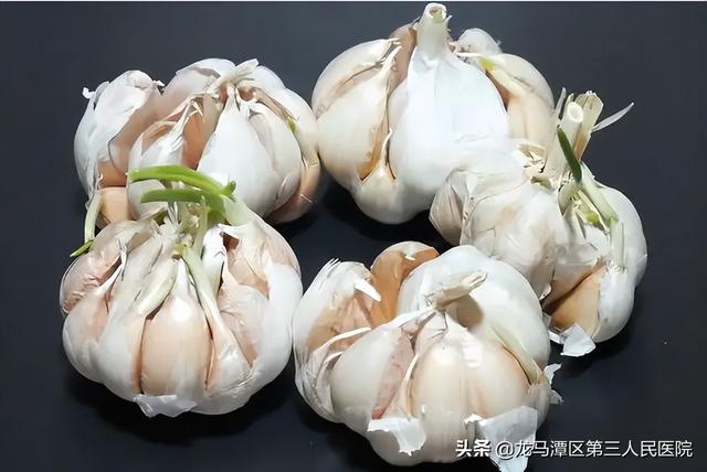 发芽的蔬菜到底还能不能吃？详尽解答来了！