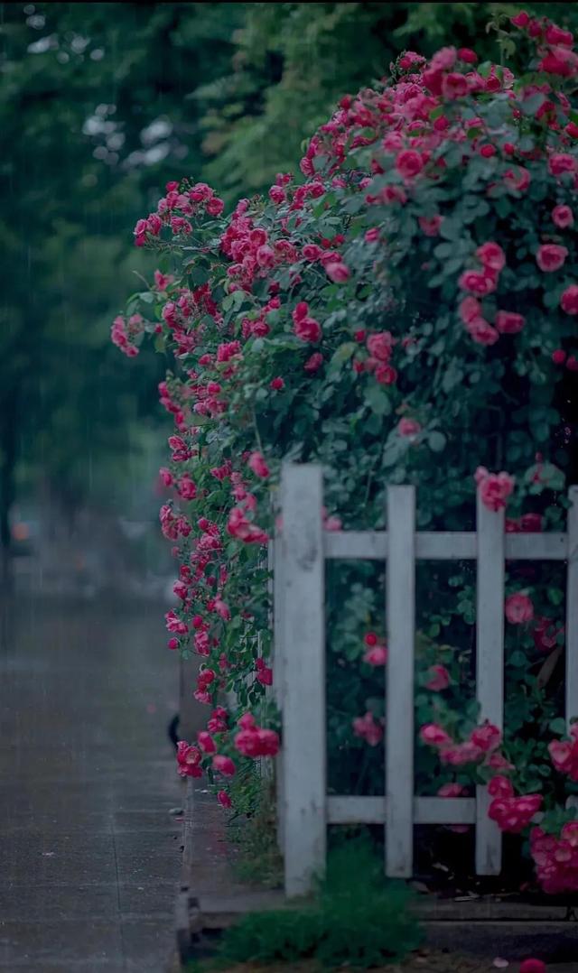 我们都是普通人但身上都有闪光点