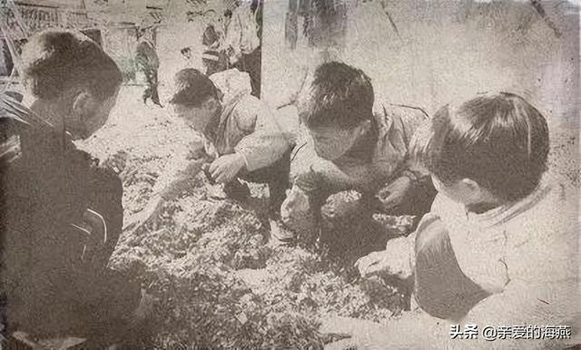 70、80年代最真实的老照片，美好的时光70后的记忆，再也回不去了