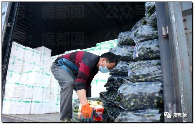 愤怒！众多城市支援上海竟然毫无热度？我们上海人不答应