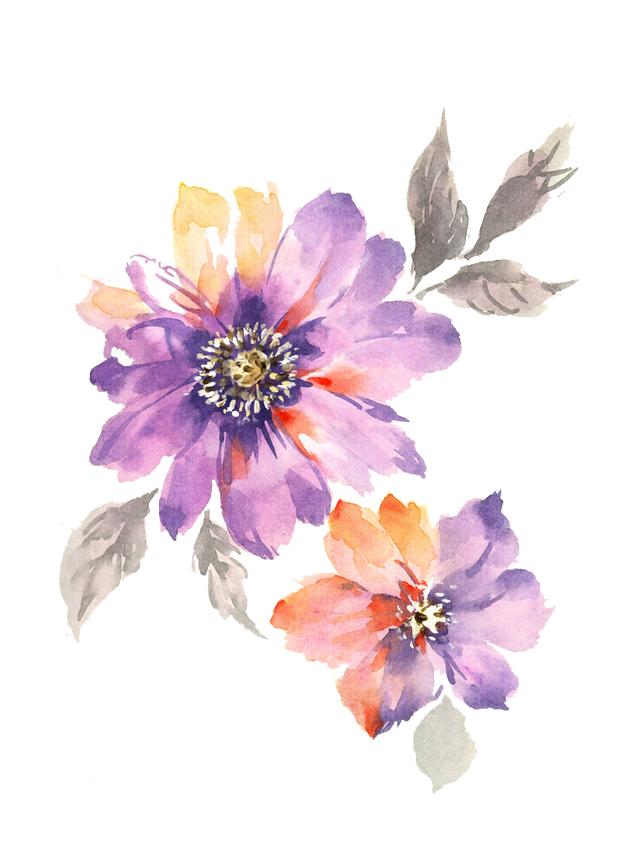 花卉图案手绘简单（漂亮的花卉手绘图案）(38)
