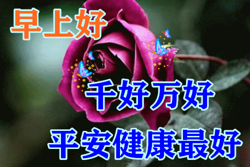 愿苍天保佑，人间无险，病毒早散，你我平安