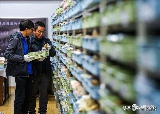 十大考古终评项目 | 精美的石头会说话——四川稻城皮洛遗址