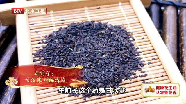 鲜嫩时是菜，晒干后能入药！这些好处多多的野菜可别错过