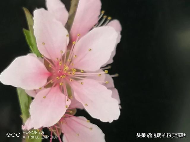 [云中君消息自动回复]，微信中手机联系人找不到