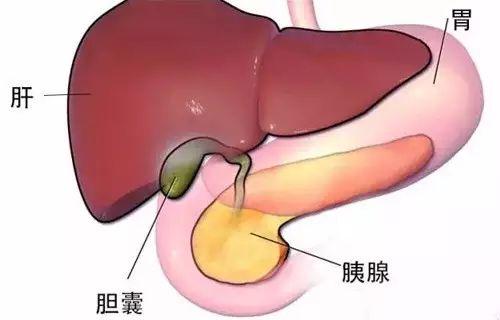 肝胆不好，百病缠身！春天用这招疏通肝胆，心情好、睡眠好