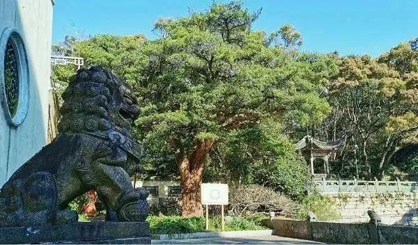 普陀山风景美不美（让普陀山的风景温暖你）(20)