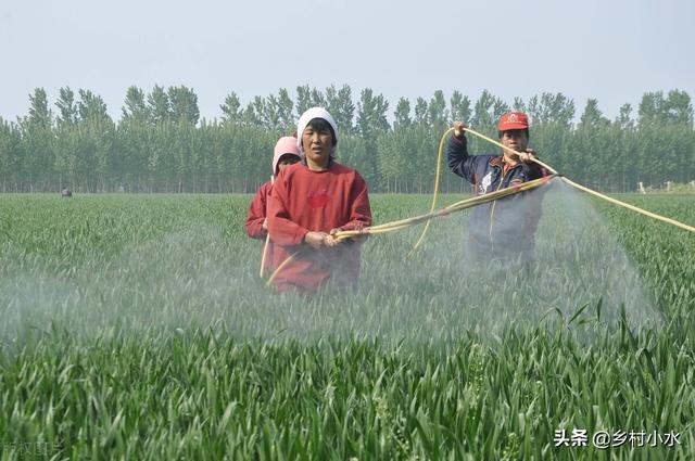 喷叶面肥、除草剂、杀虫剂、杀菌剂，学会加点有机硅，防效更好5