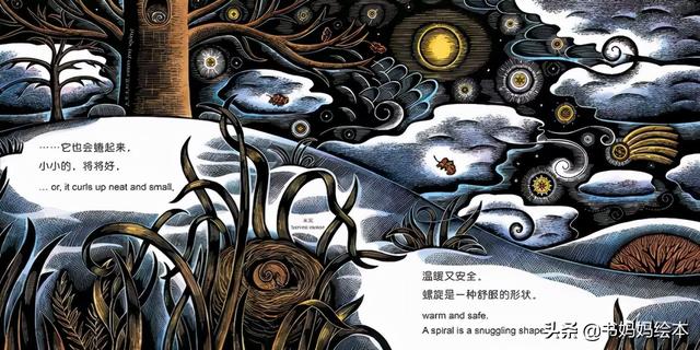 10本珍藏级感动绘本：用图画疗愈你的心