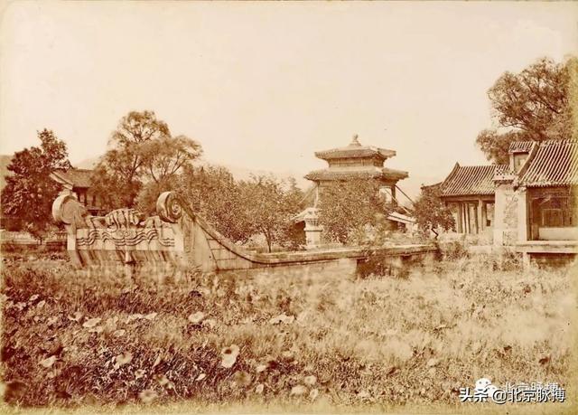 畫說北京丨頤和園裏的山河歲月