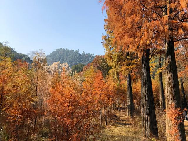 长沙户外拓展训练基地