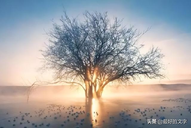 做人的底线，就这6句话！（深度好文）