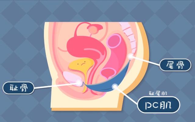 怎样判断宝宝是不是肌张力高？