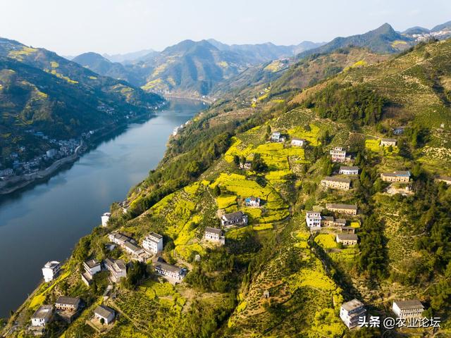 2022年江西九江市农村建房最新规定：哪些区域不能盖房？