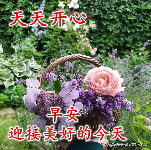 早上起床最火爆的励志早安心灵鸡汤语录，励志心灵鸡汤分享